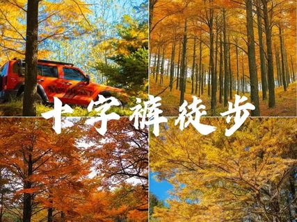 10/23日周五|【十字裤赏秋】走过大自然的调色盘