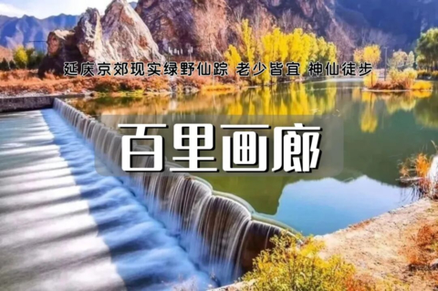 周末天天出发：百里画廊•徒步延庆山水之间の栈道/溪水蜿蜒穿过树林，一路轻松惬意