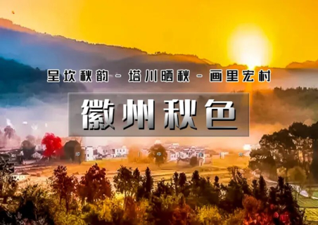 周末2日｜徽州秋色｜皖秋の呈坎秋韵-塔川晒秋-画里宏村-屯溪老街｜秋摄醉美徽州古韵