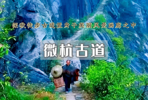 周末2日｜徽杭古道｜重走徽商之路-绩溪龙川-徽州秋色-方塘落羽杉森林