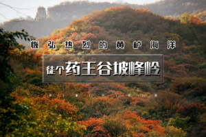 周末天天出发：药王谷坡峰岭｜秋染双谷の2026醉美赏红叶线路药王谷-坡峰岭徒步穿越10公里
