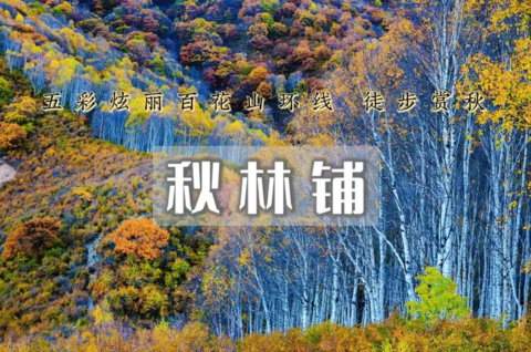 周三出发：秋林铺｜徒步赏秋｜闯入房山深处体验秋色秘境の共赴秋林铺童话之约