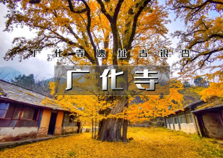 周末天天出发：广化寺｜京门铁路-广化寺-西山古道-琉璃渠&大觉寺千年古银杏