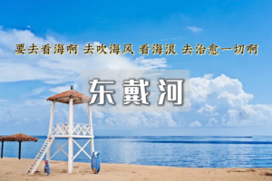 端午2日 | 东戴河•相约东戴河-悠悠海边游-品海鲜大餐-篝火狂欢夜