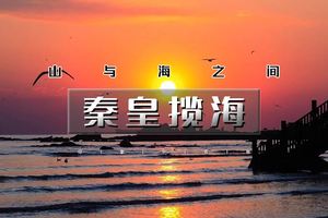端午2天｜秦皇揽海•【无门票】南戴河+老虎石海上公园+秦皇求仙处+秦皇小巷+山海关古城+赠《山海情》史诗演出 