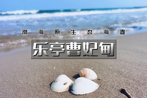 端午2天｜乐亭曹妃甸•京郊版孤独的鲸の200多公里外的小众海滩-乘船出海捕鱼-多玛乐园摸鱼-滦州古城打卡