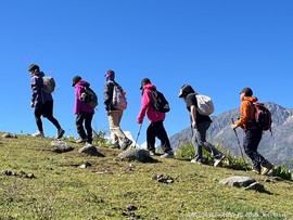 微信图片_20260421131307_125_72