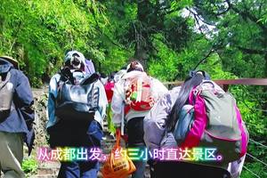 山风客阿尔沟之行