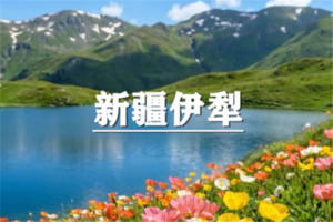 （已成行/多团期）6月17-23日：超多福利！童话新疆~独伊无二，独库公路，伊犁7日精品游