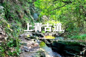 （曹路+华夏）6月19日：开业酬宾！79元起！徒步上青古道精华版，真假兰若寺 古道寻芳踪