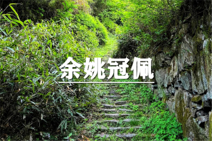 （嘉定+青浦）6月19日：开业酬宾！89元起！走进余姚冠佩古村，余姚野生版“九溪十八涧”
