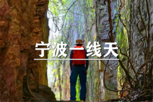 （世纪+成山）6月20日：开业酬宾！89元起！宁波一线天、穿越天坑地缝、打卡奇幻森林藤蔓秘境，mini版哀牢山