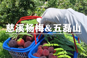 （宜山+中庚）6月20日：开业酬宾！89元起！杨梅季~杨梅畅吃，徒步五磊秘境，五磊润名寺，山暇藏云溪，慈溪五磊