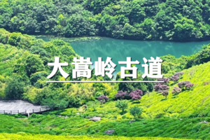 （龙阳+东明）6月19日：开业酬宾！89元起！穿越宁波十大古道の大嵩岭古道，漫步福泉山茶园，俯瞰3600亩茶田