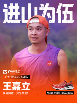 王嘉立