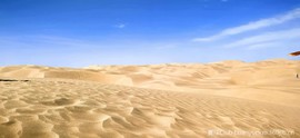 微信图片_20260615210546_30_43