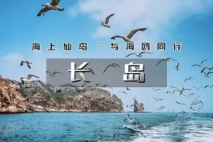 端午3日｜长岛•寻找黄.渤海交汇处の喂食万鸟岛海鸥/品尝海鲜盛宴/体验岛民生活-玩转中国十大醉美海岛