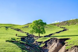周末2日｜大青山•美林谷-克旗大青山の避世草甸-误入塞尔达无人世界の小众徒步圣地