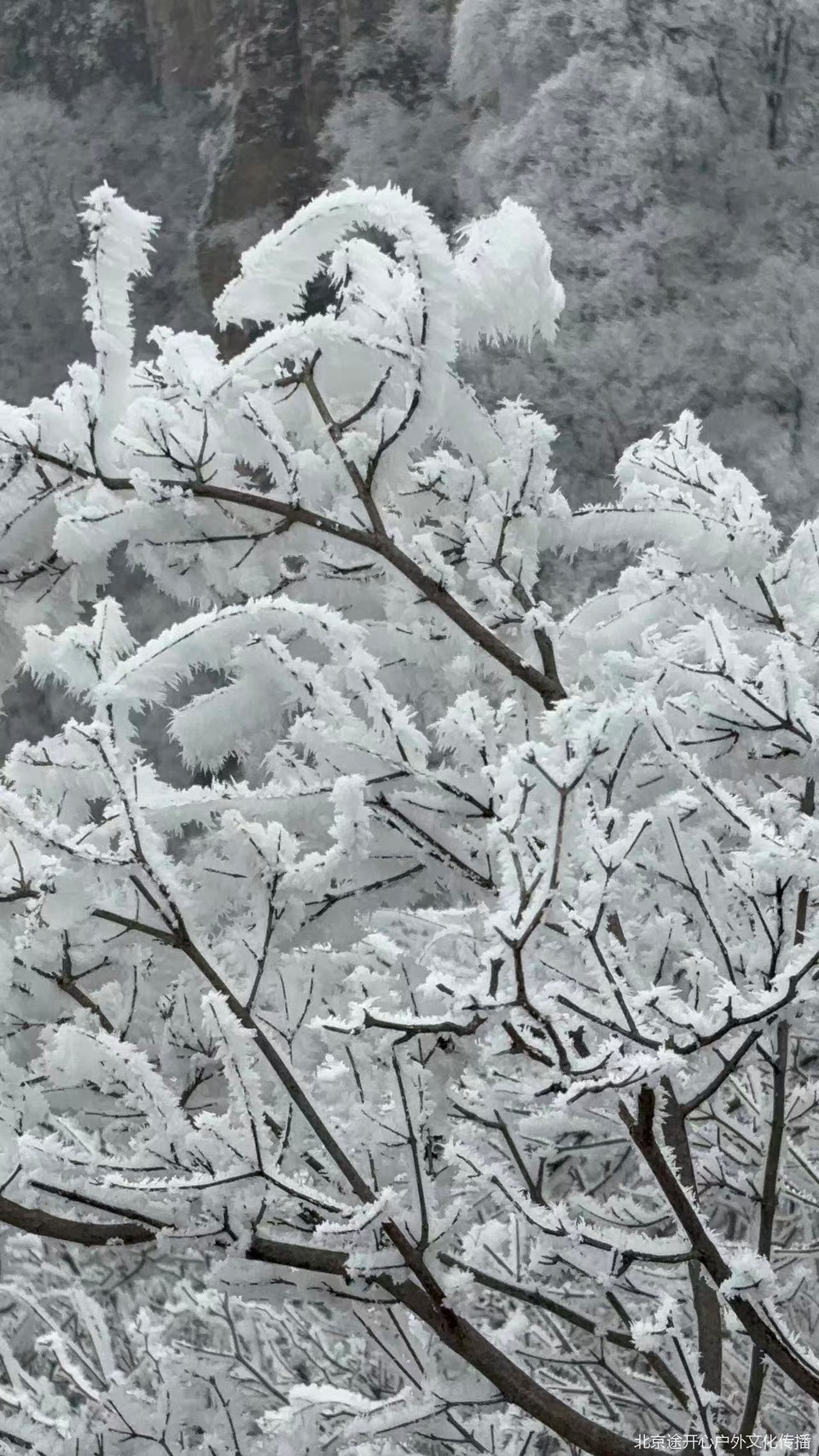 微信图片_20260428153805_54_92