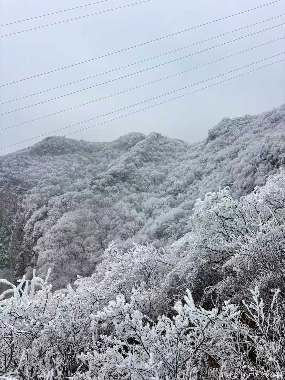 微信图片_20260428153807_55_92