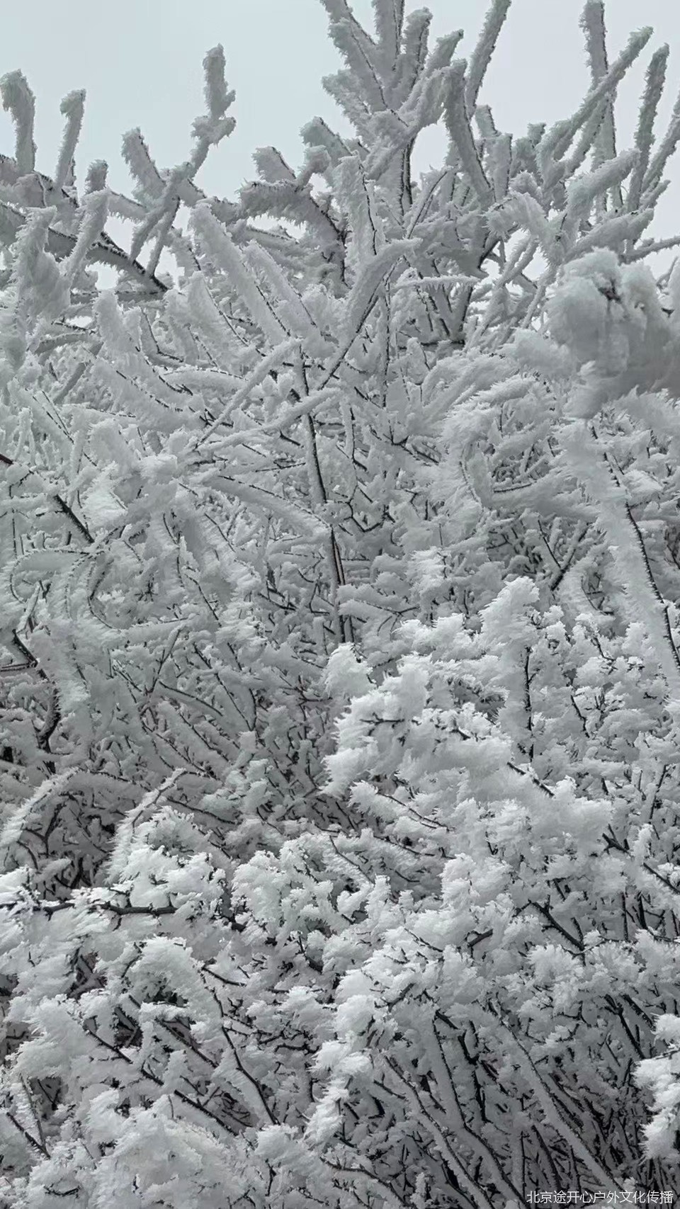 微信图片_20260428153808_56_92