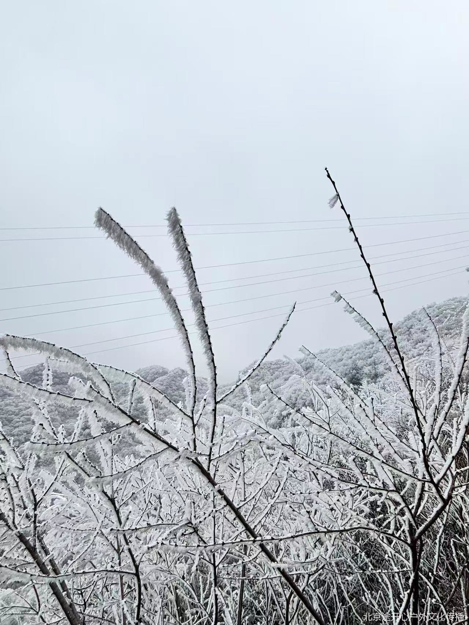 微信图片_20260428153810_57_92