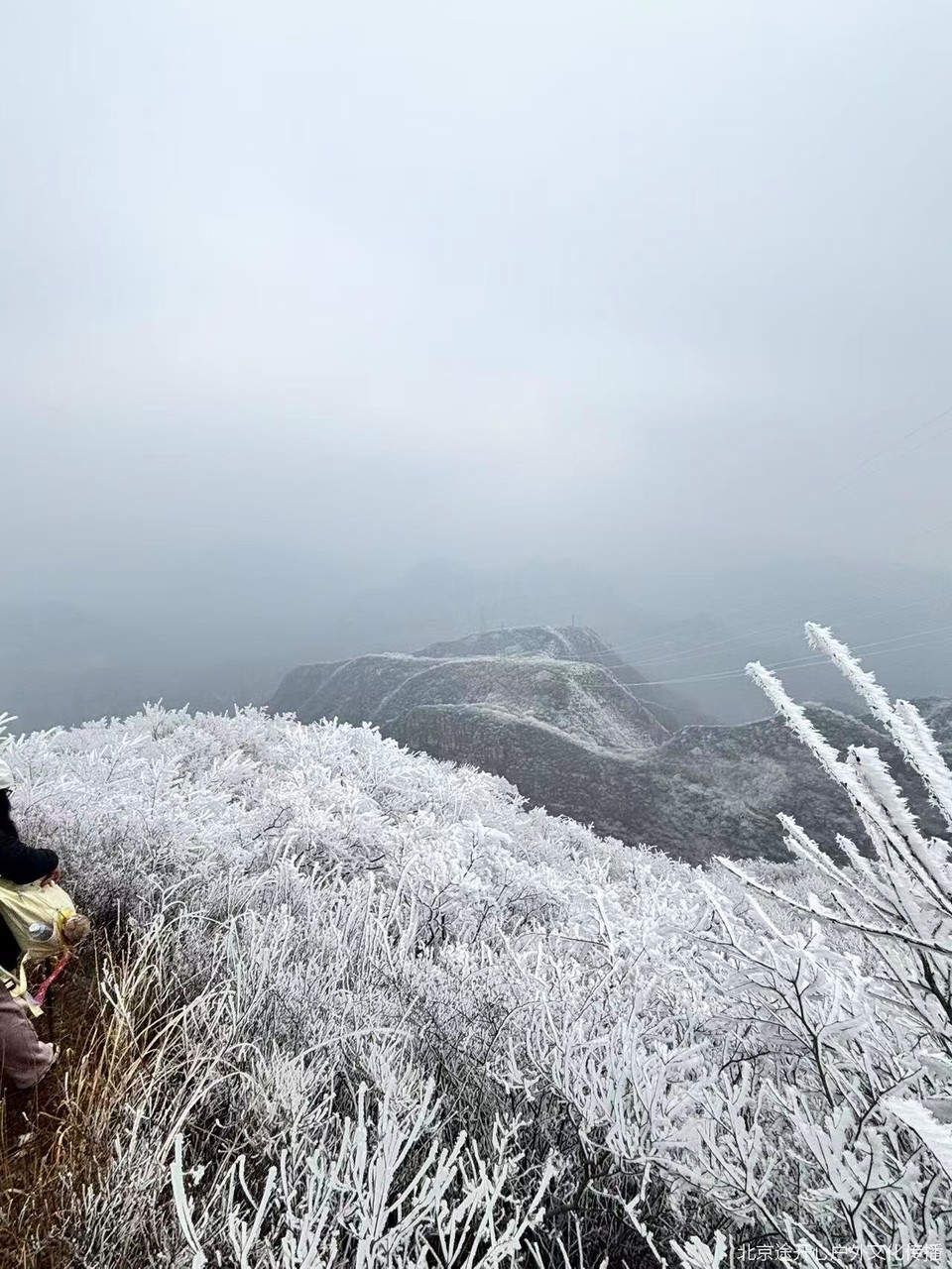 微信图片_20260428153811_58_92