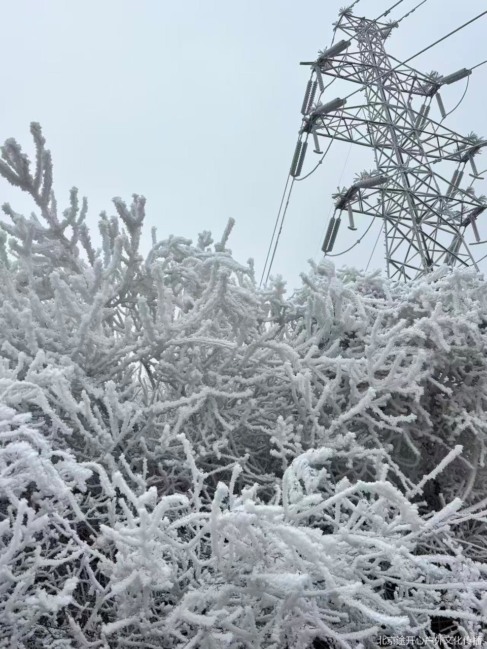 微信图片_20260428153812_59_92