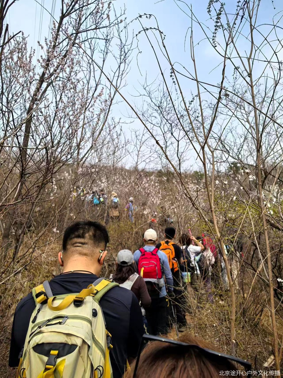 微信图片_20260428153910_96_92