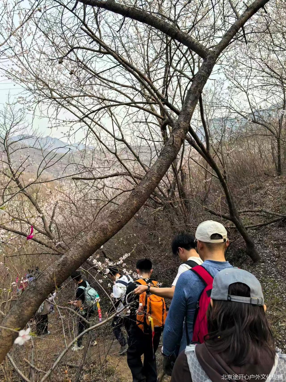 微信图片_20260428153915_97_92