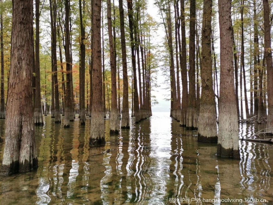 1729e548375.jpg