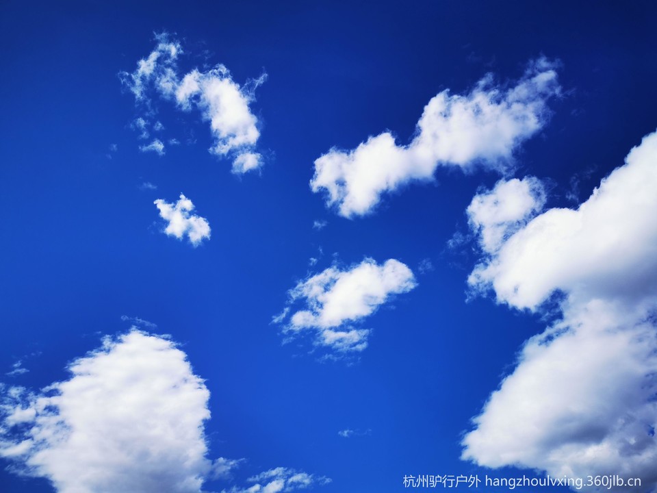 1729e763543.jpg