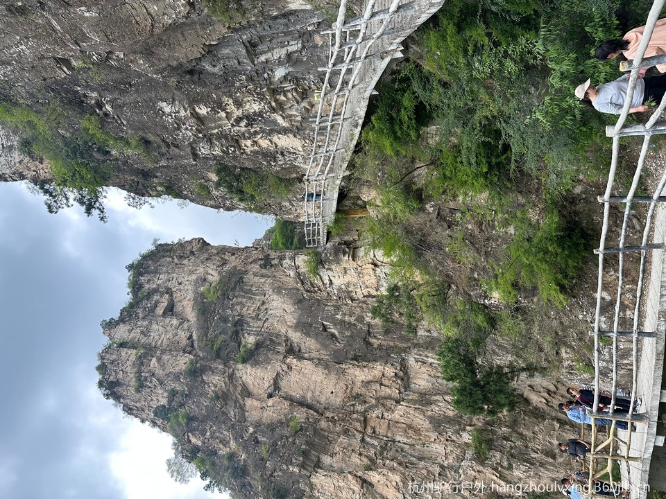 微信图片_20260520181431_227_105