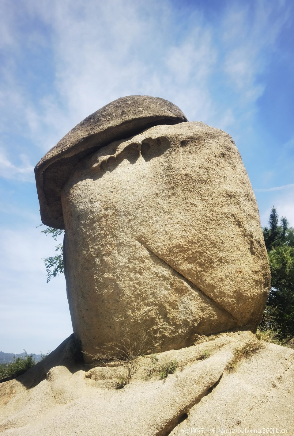 微信图片_20260520181440_235_105