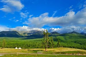 【端午阿勒泰】6.19-24 我的阿勒泰6日，保成行，2-6人小团，阿禾公路+喀纳斯+禾木+白哈巴+魔鬼城+S101