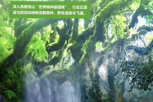 【超低特价】6.24、7.1、7.8、7.22 多期成行，徒步云南高黎贡，怒江百花和灵猿之路