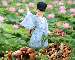 【暑期亲子】7月-8月，多期成行！滇东南，菇勇者奇遇，森林捡菌子，抚仙湖帆船，化石博物馆，建水米轨，学政考棚，元阳摸鱼