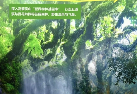 10.18-22 云南高黎贡徒步，已成行，特价1880，怒江百花和灵猿之路