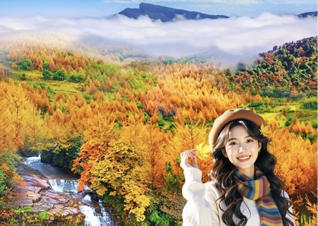 乌蒙寻秋8日，11月，多期成行，昭通大山包-甘杉彩林-黄连河-盐津-宜宾-李庄古镇-蜀南竹海大熊猫-小草坝-赤水-丙安古镇-遵义