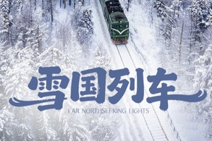 2026雪国列车SUV小团，11.5开始2-4人团，天天发团，深度纯玩5天4晚，登上北国列车，相遇“北极”