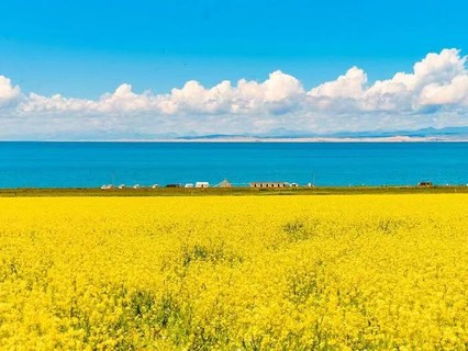 7.11、7.17、8.8大西北，青甘大环线，多团期保成行！大西北2-8人小团，更享自由，深度纯玩7天6晚