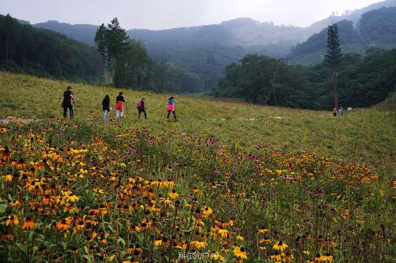 -2DGUDo6WNzlzjHWlp3KRjJSVXY0