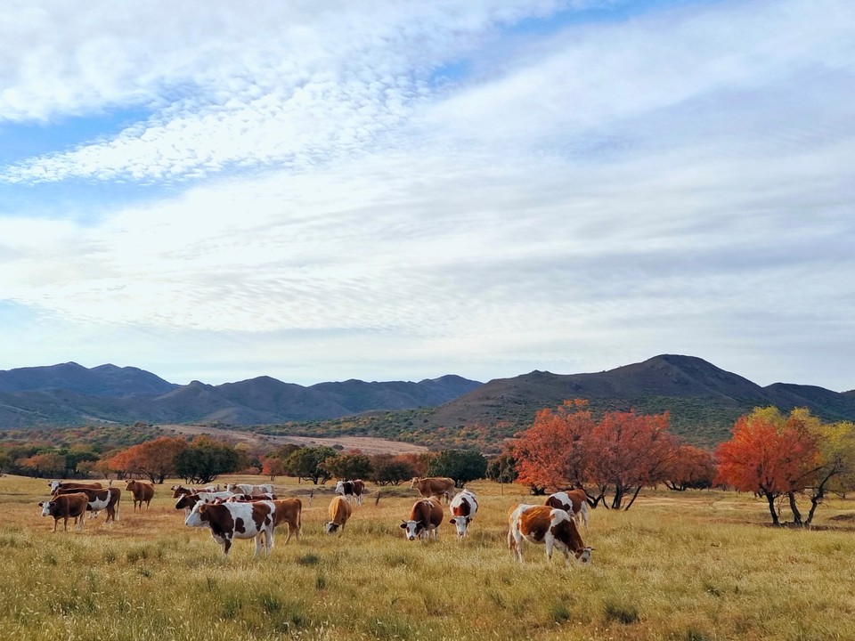 mmexport1665100259120_edit_612651717934120