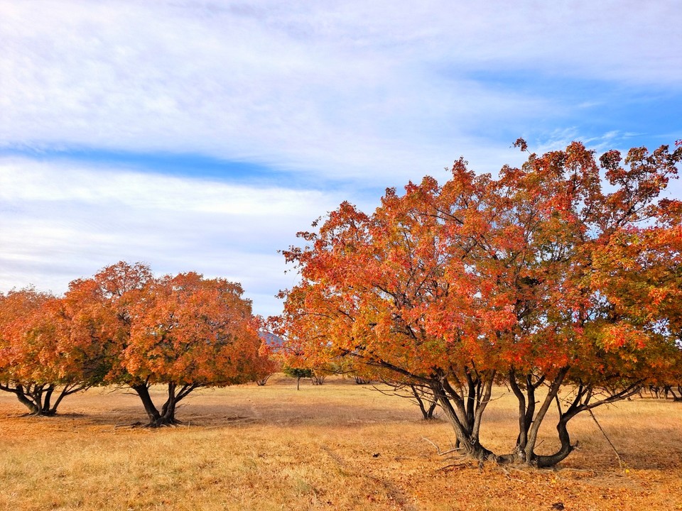 mmexport1665100263783_edit_612605302659648