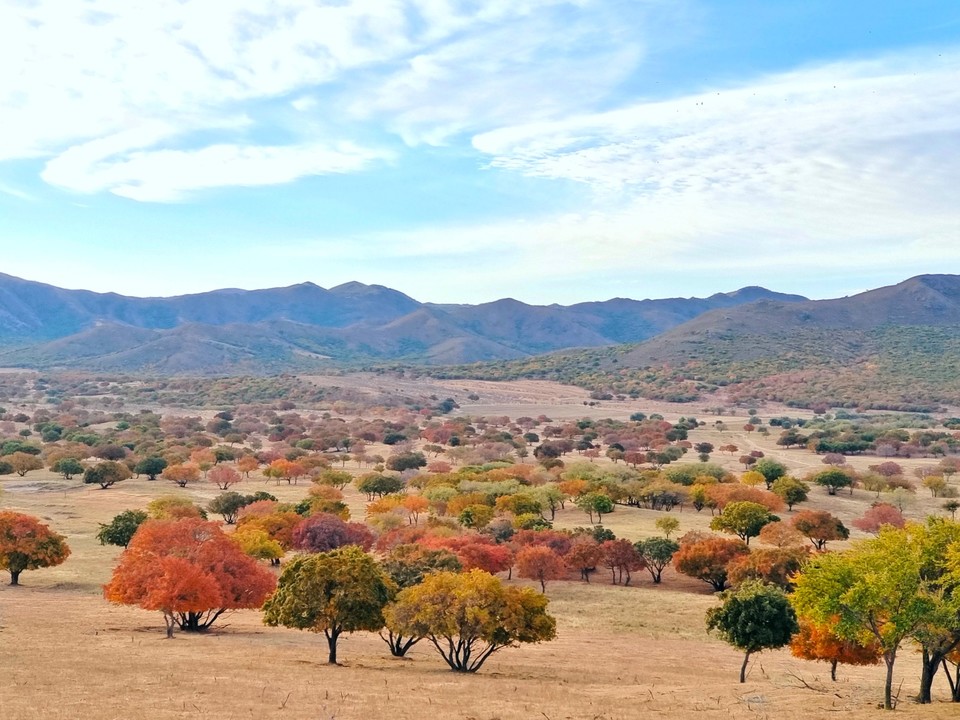 mmexport1665100279641_edit_612552594300802