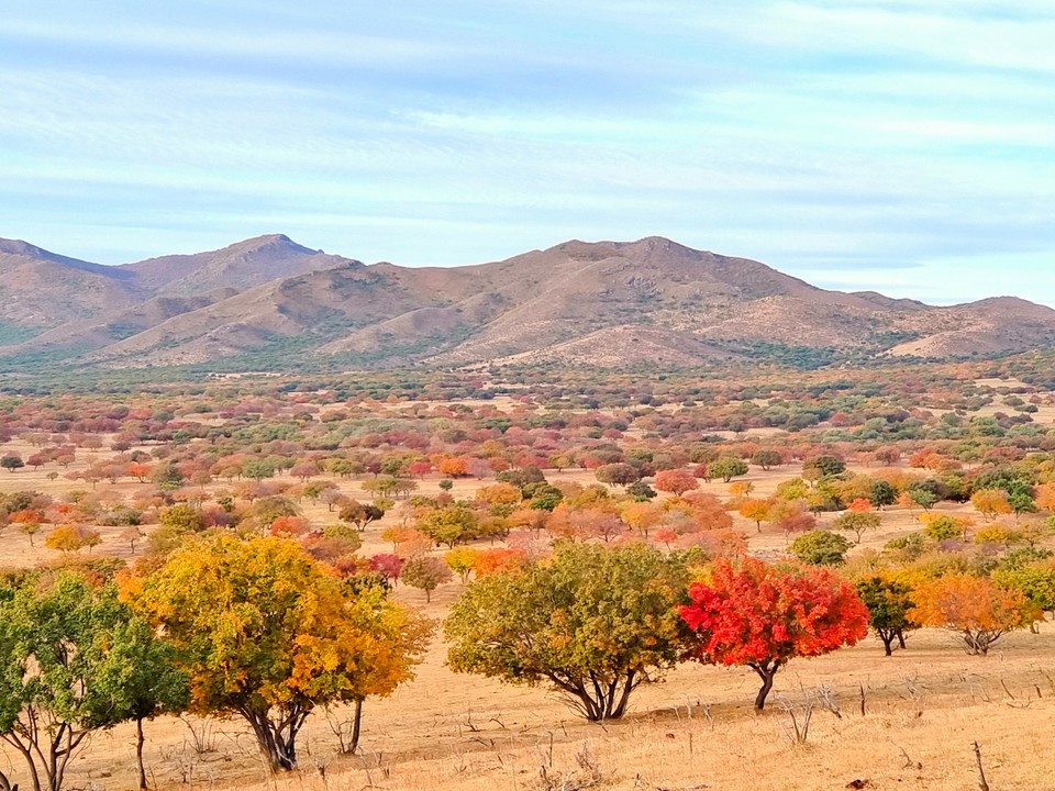 mmexport1665100286659_edit_612459857058107