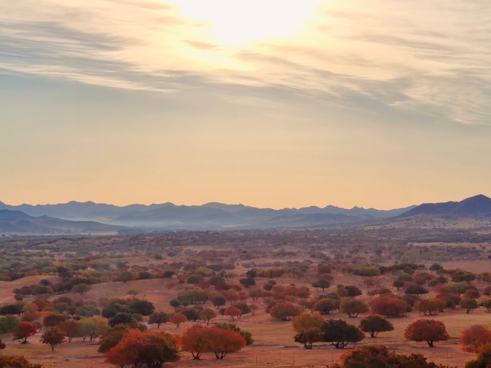 mmexport1665100298051_edit_612415575007073