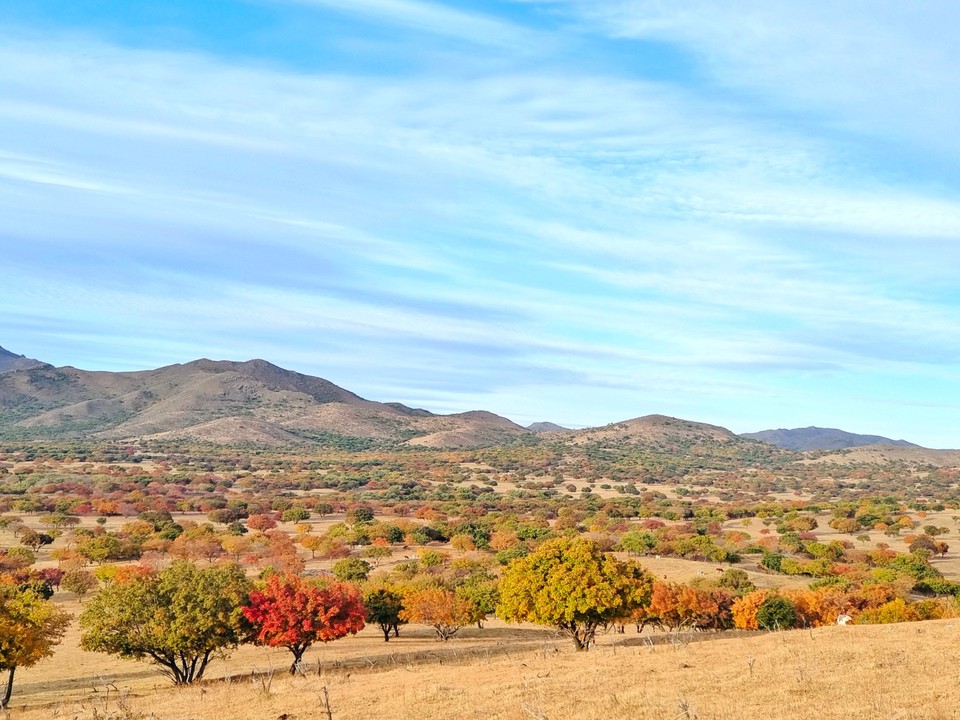 mmexport1665100312236_edit_612360080823227