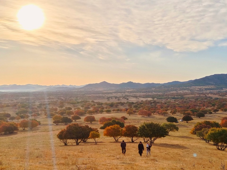 mmexport1665100326147_edit_612318013270108