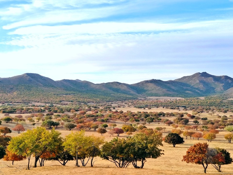 mmexport1665100334162_edit_612251003957098